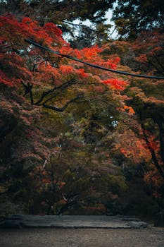 1023家公司公布业绩快报：57百分号去年净利润增长