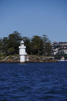 有奖发票试点落地 “小激励”转为“大活力”