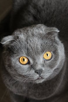  时代浪潮涌动妇女潜能，共筑人类包容美好明天。 文化旅游 时代浪潮涌动妇女潜能，共筑人类包容美好明天。 文化旅游