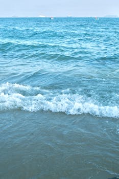  股权优化新阶段；上海建科限售股即将全流通。 股票财经 股权优化新阶段；上海建科限售股即将全流通。 股票财经 股权优化新阶段；上海建科限售股即将全流通。 股票财经 股权优化新阶段；上海建科限售股即将全流通。 股票财经 股权优化新阶段；上海建科限售股即将全流通。 股票财经