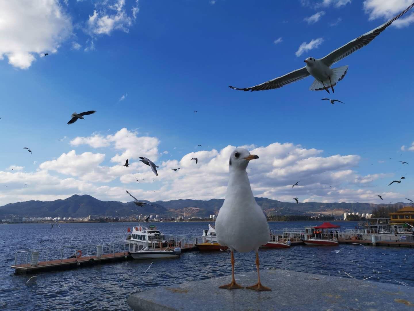  家长必读：告别焦虑，中考新政下的升学突围指南 教育招生