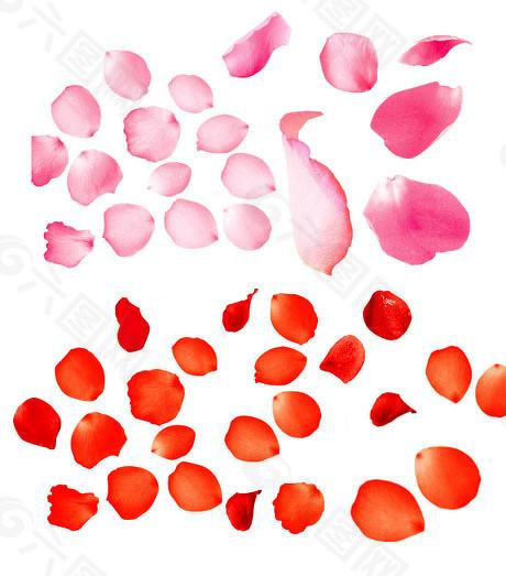  期货市场参与者：能源品种交割风险与监管应对方案 新闻 期货市场参与者：能源品种交割风险与监管应对方案 新闻 期货市场参与者：能源品种交割风险与监管应对方案 新闻