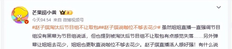  【技术复盘】双轨淘汰赛制下的博弈陷阱：从赵子琪事件拆解综艺规则的底层逻辑 娱乐新闻
