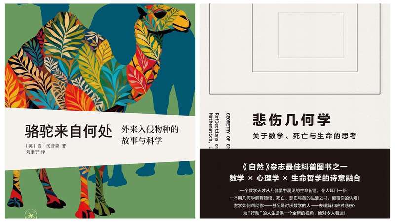  当屠龙少年走进流水线：一场关于游戏、劳动与自我迷失的温柔追问 情感心理