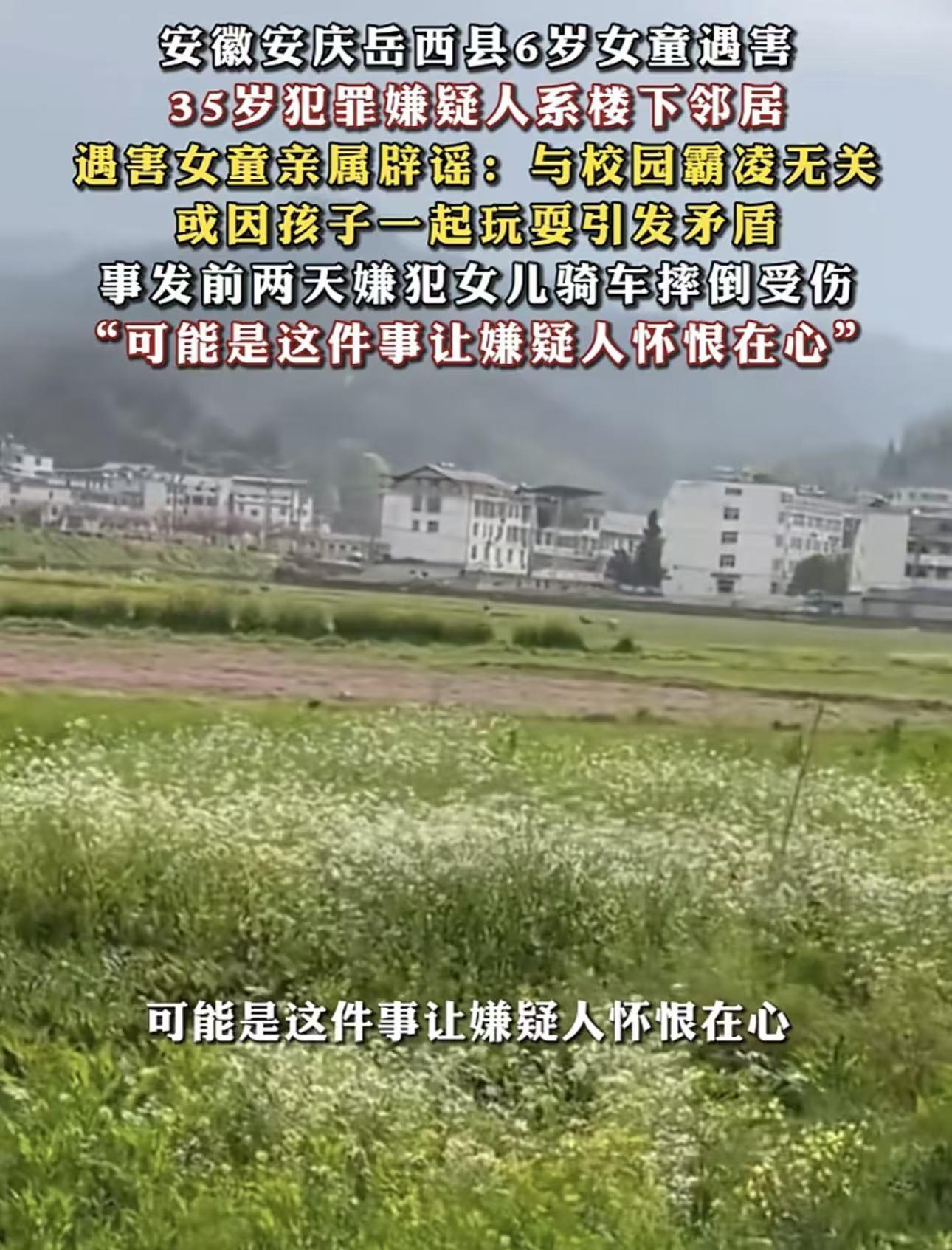  安徽6岁女童被害案深度还原：一次邻里冲突如何酿成不可挽回的悲剧 新闻