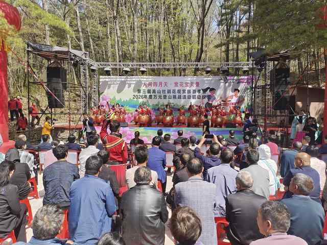 技术视角下的宝天曼：高山杜鹃花季如何重塑豫西南文旅生态 文化旅游