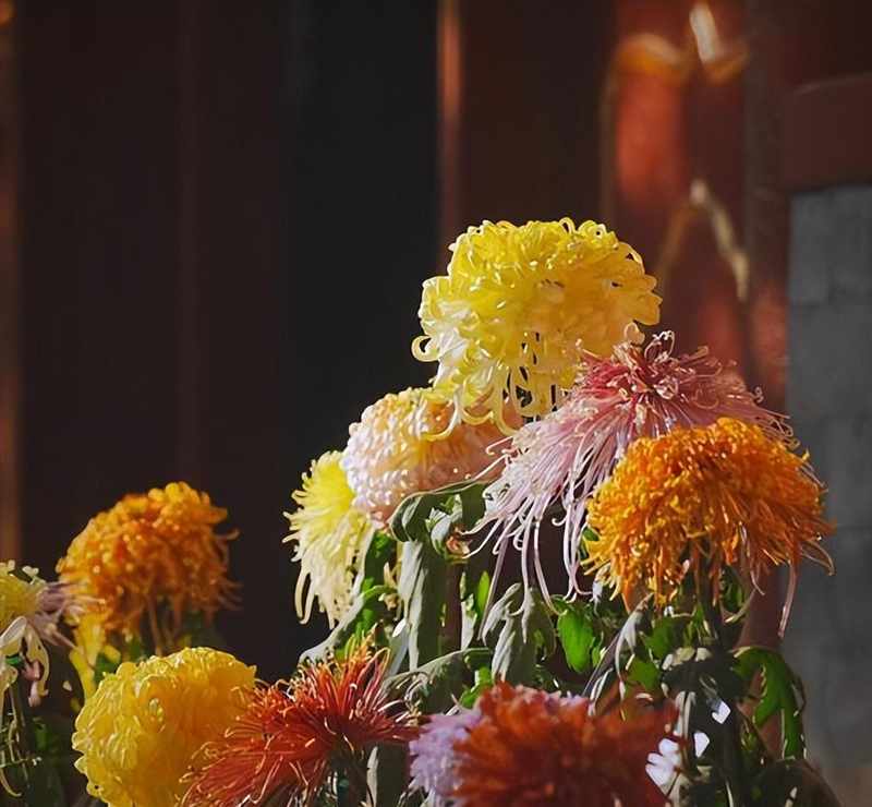  技术视角：两株千年花卉的符号学死亡——从文化编码到认知覆写的技术解析 文化旅游