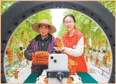  “十五五”规划纲要青年发展专节：战略意涵、制度逻辑与实践路径 新闻