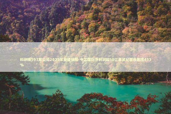 科创板597家公司2025年业绩快报-中芯国际净利润超50亿寒武纪营收暴增453%