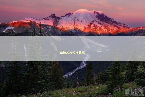 存储芯片价格暴涨