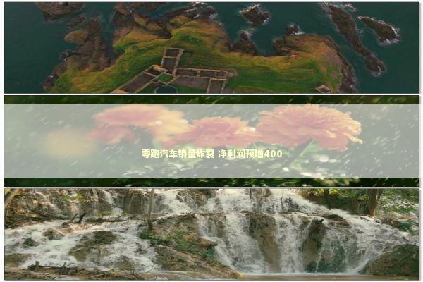 零跑汽车销量炸裂 净利润预增400