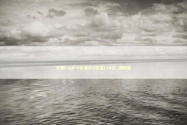 软银PayPay赴美IPO估值134亿_趣味型 新闻