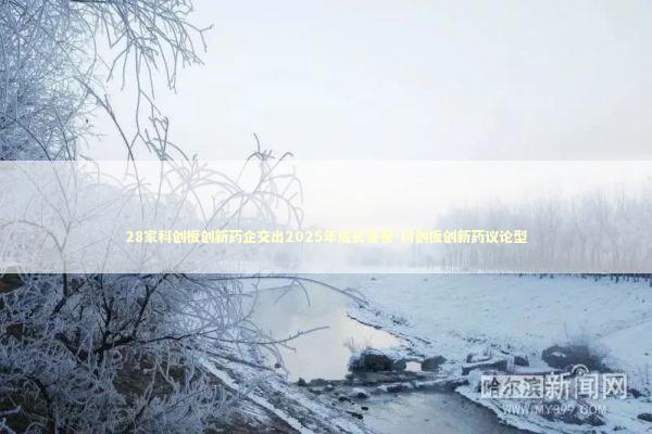 28家科创板创新药企交出2025年成长答卷-科创板创新药议论型