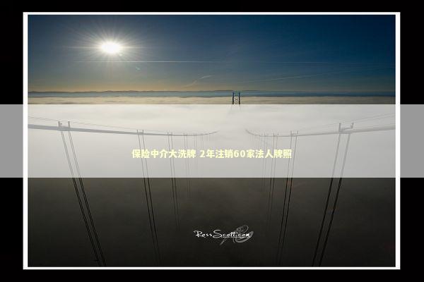 保险中介大洗牌 2年注销60家法人牌照