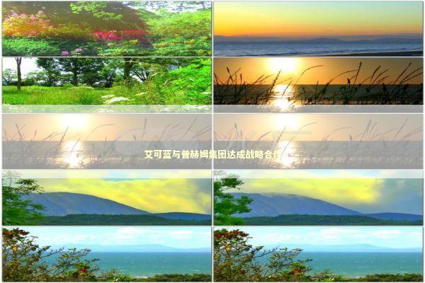 艾可蓝与普赫姆集团达成战略合作