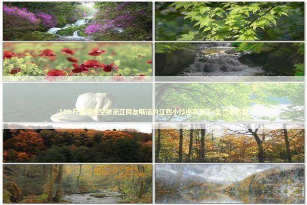 100斤直接抢空被浙江网友喊话的江西小炒连夜复工-美食悬念型