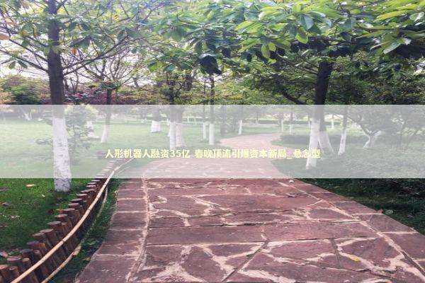 人形机器人融资35亿 春晚顶流引爆资本新局_悬念型