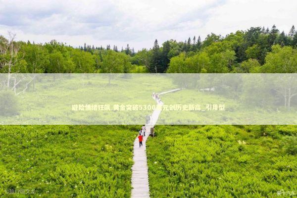 避险情绪狂飙 黄金突破5300美元创历史新高_引用型