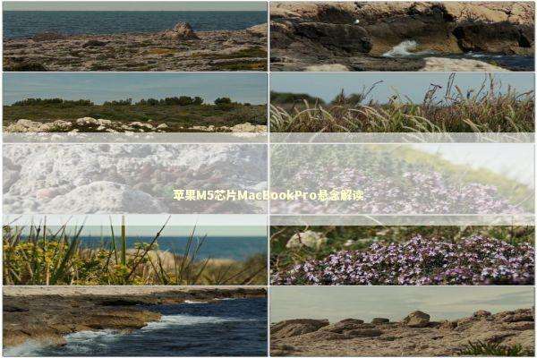 苹果M5芯片MacBookPro悬念解读
