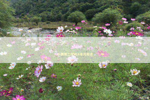 小鹏第二代VLA本月推送