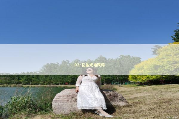 03-亿晶光电跌停