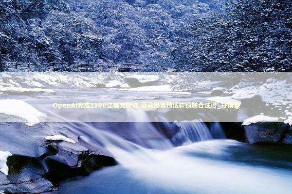 OpenAI完成1100亿美元融资 亚马逊英伟达软银联合注资_抒情型