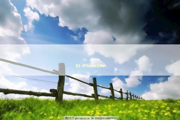 81-iPhone17e