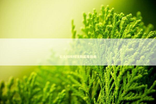 石头科技科沃斯实用指南