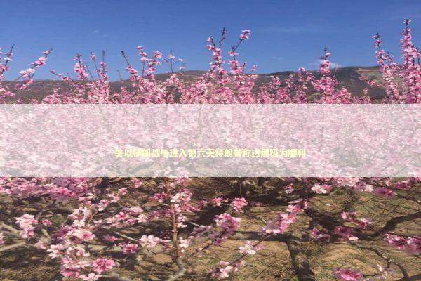 美以伊朗战争进入第六天特朗普称进展极为顺利 新闻