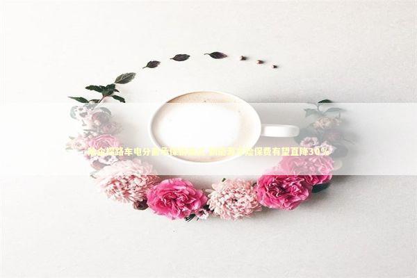 险企探路车电分离承保新模式 新能源车险保费有望直降30%