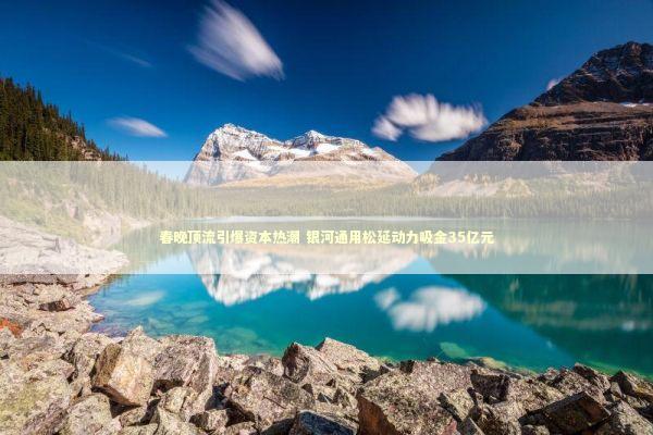 春晚顶流引爆资本热潮 银河通用松延动力吸金35亿元