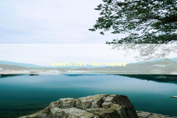 胃食管反流vs正常胃 一场关于门的是非曲直