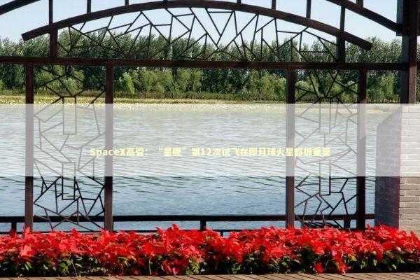 SpaceX高管：“星舰”第12次试飞在即月球火星都很重要