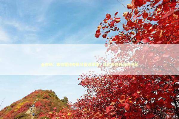 全市场：弗拉霍维奇即将重返球场，续约谈判也取得进展