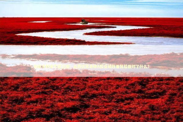 扣非净利减亏超三成！山西这家老牌A股业绩改善背后做对了什么？