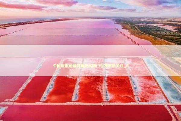 中国虚拟运营商要走出国门引发市场关注_6