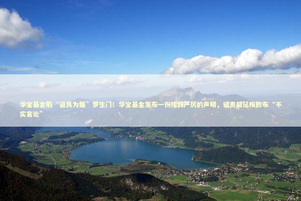 华宝基金陷“逼良为娼”罗生门！华宝基金发布一份措辞严厉的声明，谴责胡延梅散布“不实言论”