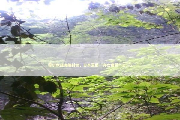 霍尔木兹海峡封锁，日本直面“存亡危机”？_3