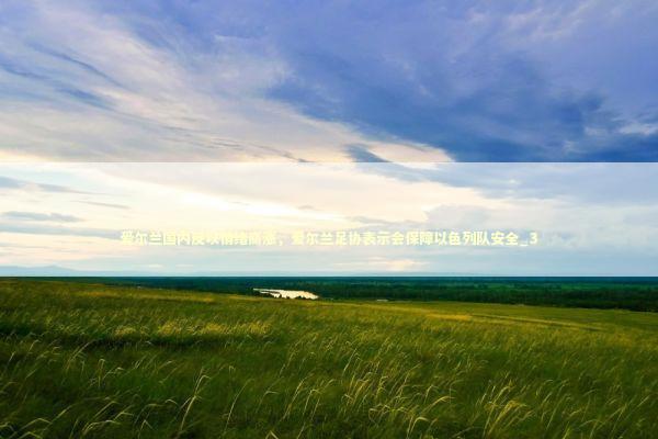 爱尔兰国内反以情绪高涨，爱尔兰足协表示会保障以色列队安全_3