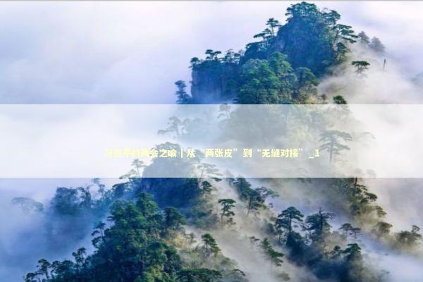 习近平的两会之喻｜从“两张皮”到“无缝对接”_1