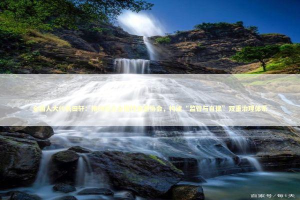 全国人大代表田轩：推动设立全国性独董协会，构建“监管与自律”双重治理体系