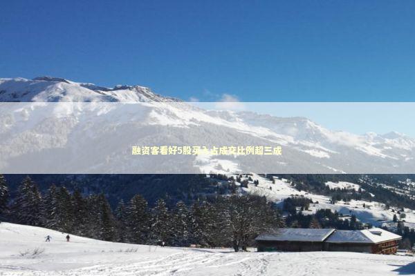 融资客看好5股买入占成交比例超三成