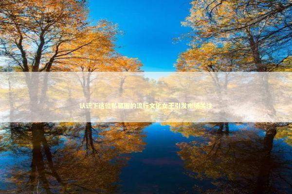 认识下这位私募圈的流行文化女王引发市场关注