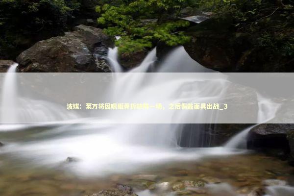 波媒：莱万将因眼眶骨折缺阵一场，之后佩戴面具出战_3