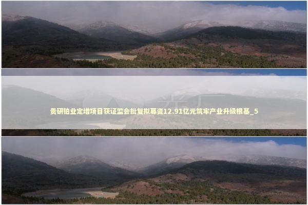 贵研铂业定增项目获证监会批复拟募资12.91亿元筑牢产业升级根基_5