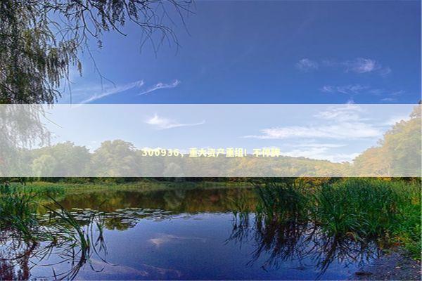 300936，重大资产重组！不停牌