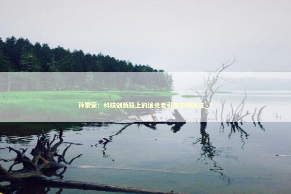 孙雷蒙：科技创新路上的追光者引发市场关注_2