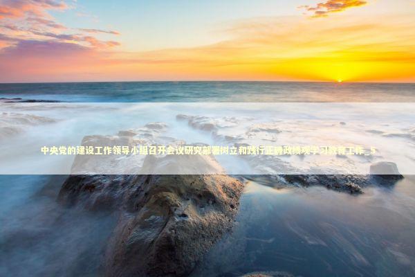 中央党的建设工作领导小组召开会议研究部署树立和践行正确政绩观学习教育工作_5