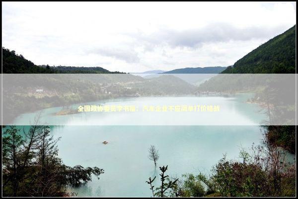 全国政协委员李书福：汽车企业不应简单打价格战