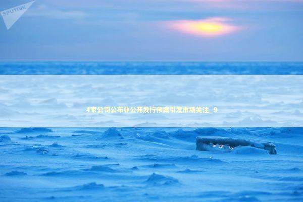 4家公司公布非公开发行预案引发市场关注_9
